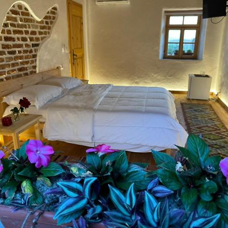 Guesthouse Vitoria - Mrizi I Zanave Fishte Extérieur photo