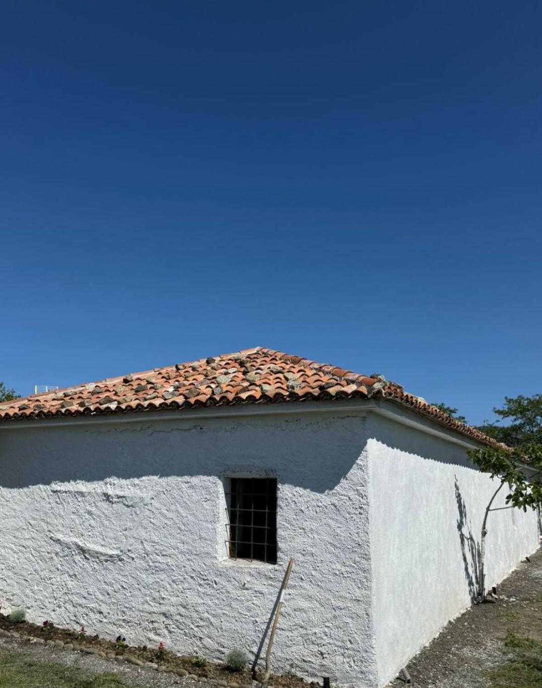 Guesthouse Vitoria - Mrizi I Zanave Fishte Extérieur photo