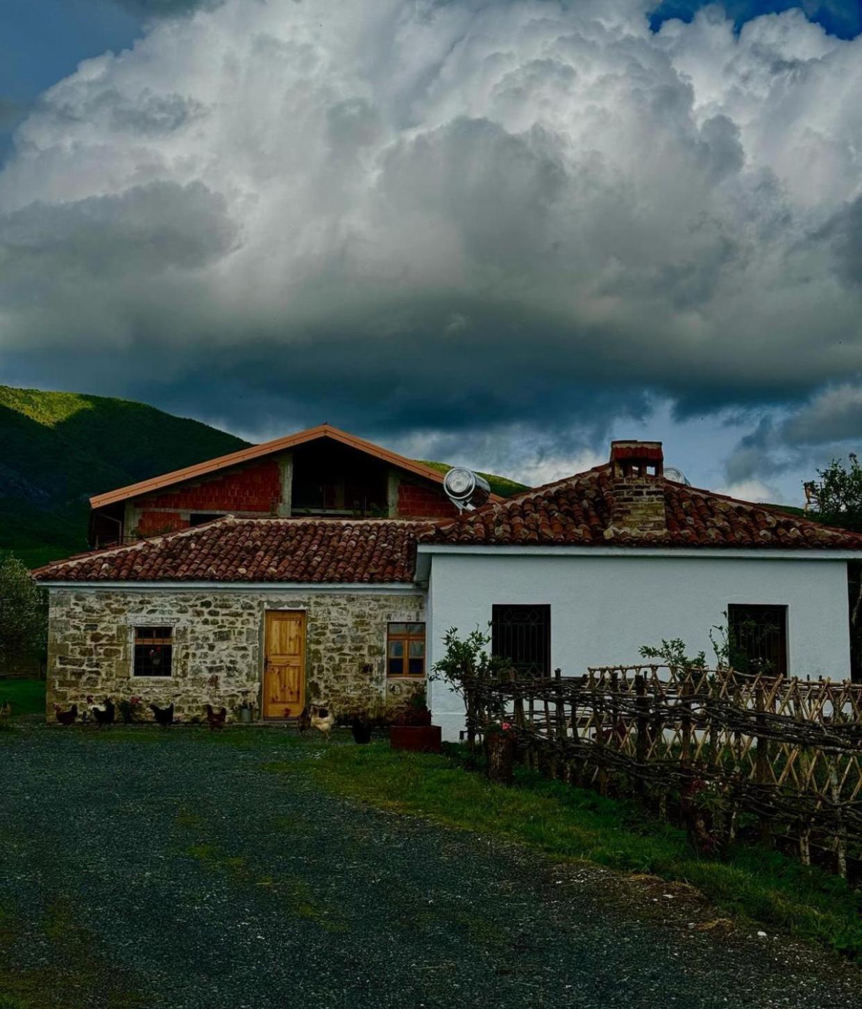 Guesthouse Vitoria - Mrizi I Zanave Fishte Extérieur photo