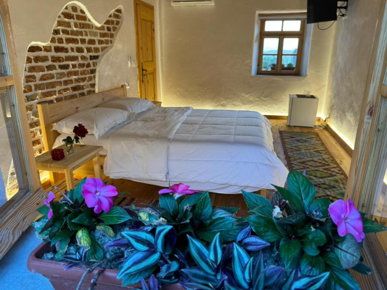 Guesthouse Vitoria - Mrizi I Zanave Fishte Extérieur photo